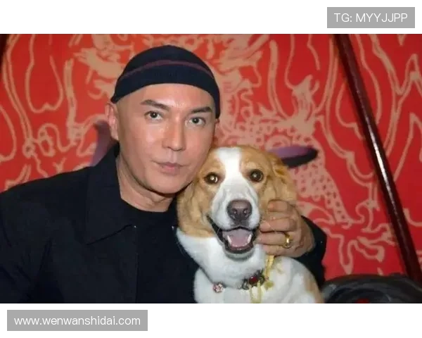 尊龙最新版价格策略调整，性价比更高满足不同层次消费者需求