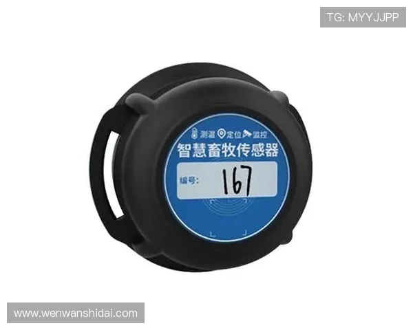 2024年最全yaboapp地址官方入口，快速找到稳定安全的登录渠道