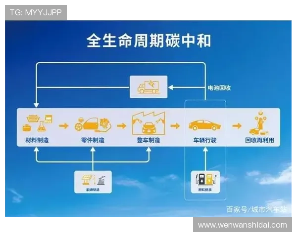 开云体育官方首页用户指南，全面解答常见使用问题与操作技巧