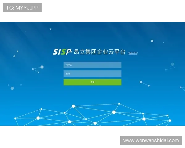 云开登录娱乐平台多重验证机制保障用户账户安全与信息隐私