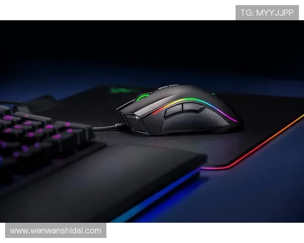 凯时KS国际登录平台安全可靠，保障玩家账号信息安全与游戏体验提升的详细指南