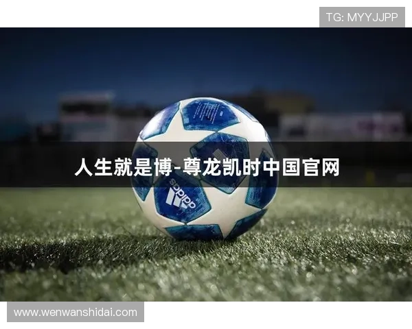 尊龙凯时人生就是博官网玩家必知的游戏技巧与提升战斗力的方法